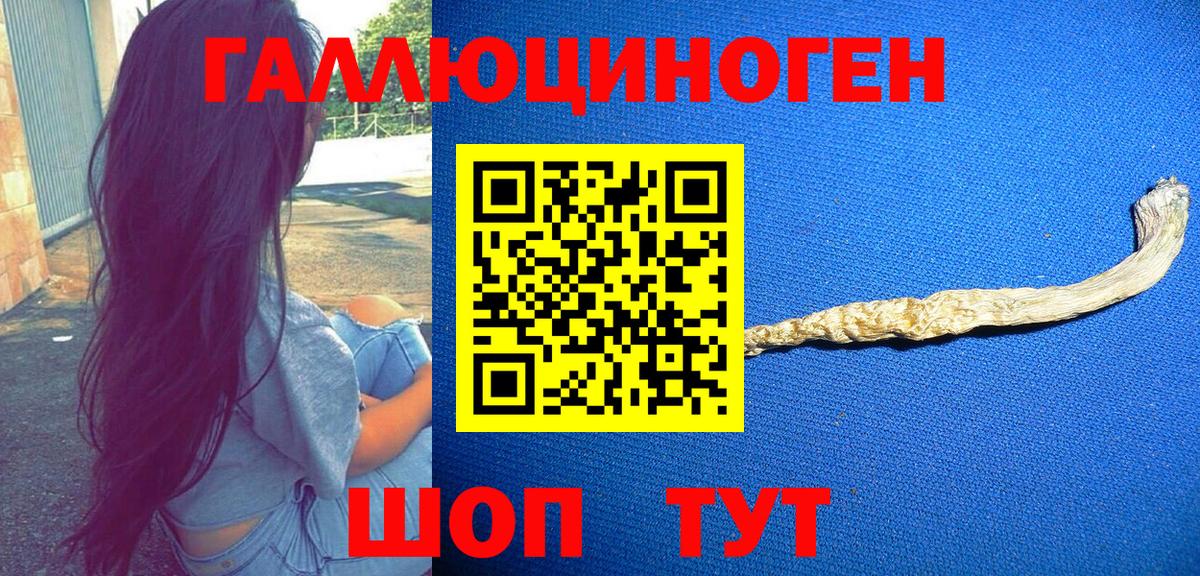 Коряжма  дарнет шоп  Вход с VPN  Галлюциногенные грибы мухоморы  Галлюциногенные грибы GOLDEN TEACHER 