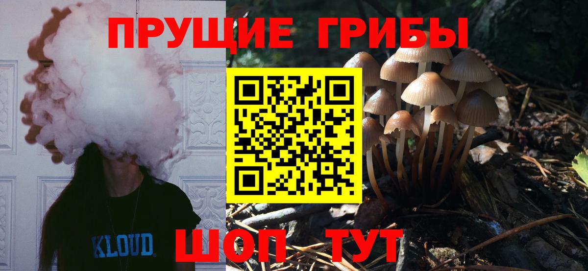 Галлюциногенные грибы MAGIC MUSHROOMS Коряжма