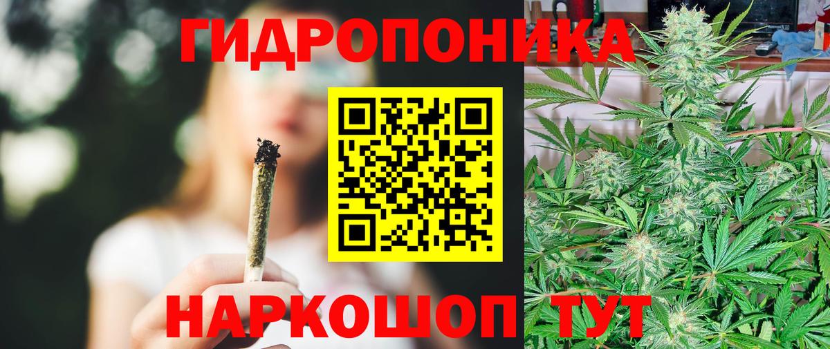 Шишки марихуана Bruce Banner  Вход с VPN  Коряжма  Бошки марихуана THC 21%  Шишки марихуана White Widow 